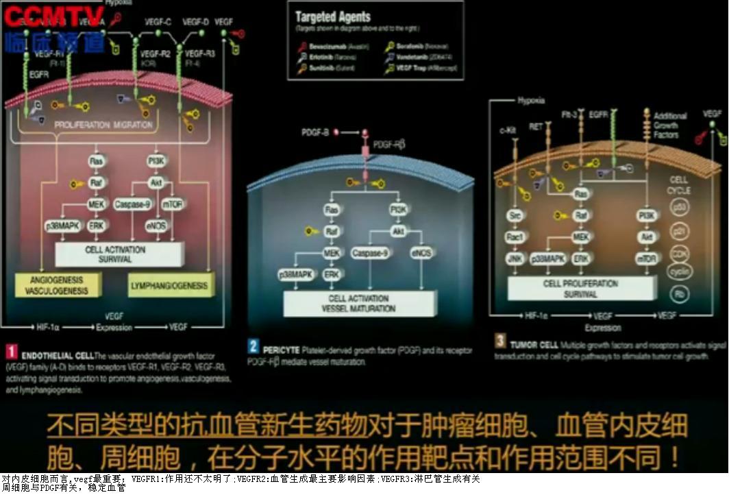 聂立功2.JPG