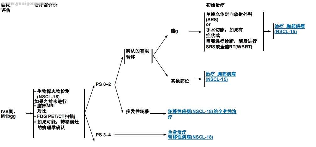 IVA期 M1b.jpg